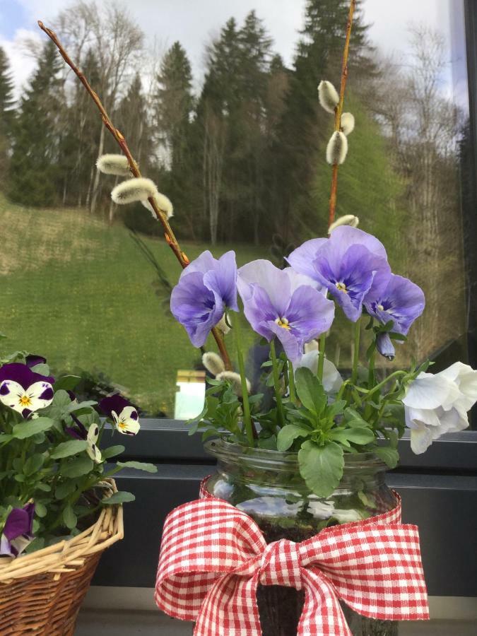 Apartment Nest Sibratsgfäll Buitenkant foto
